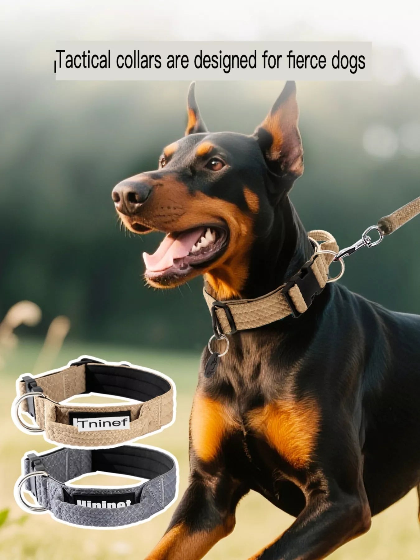 Comfortable Neck Guard Heavy-Duty Adjustable Pet Collar Safety