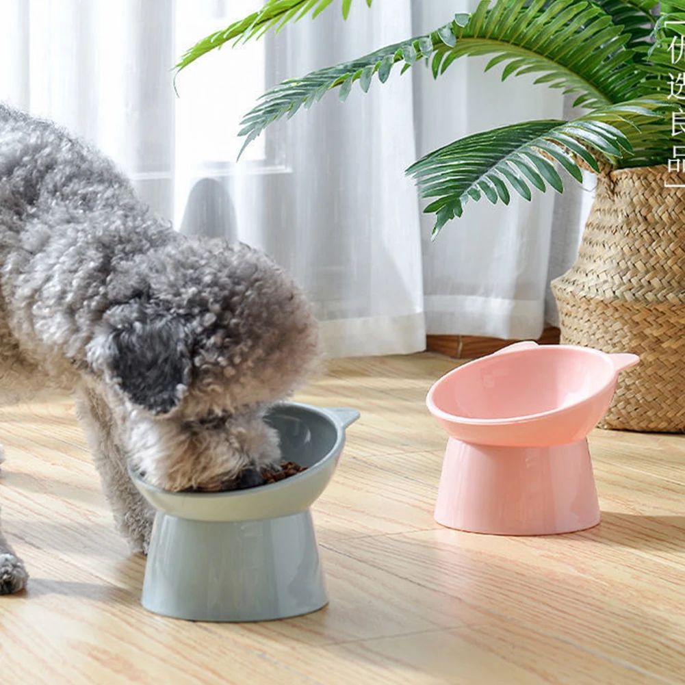 Tilted Elevated Cat Food Bowl Anti Slip Ergonomic Feeding Dish