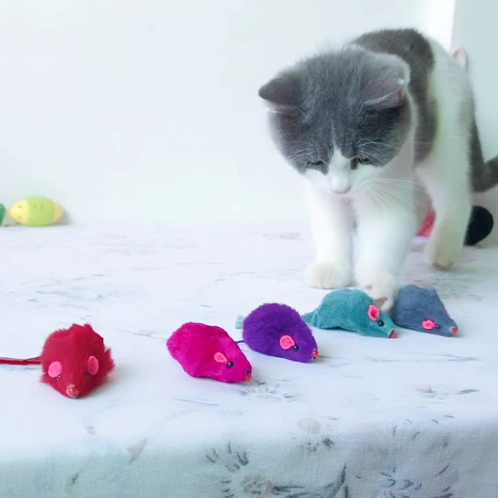 Funny Little Mouse Cat Puzzle Decompression Interactive Toy