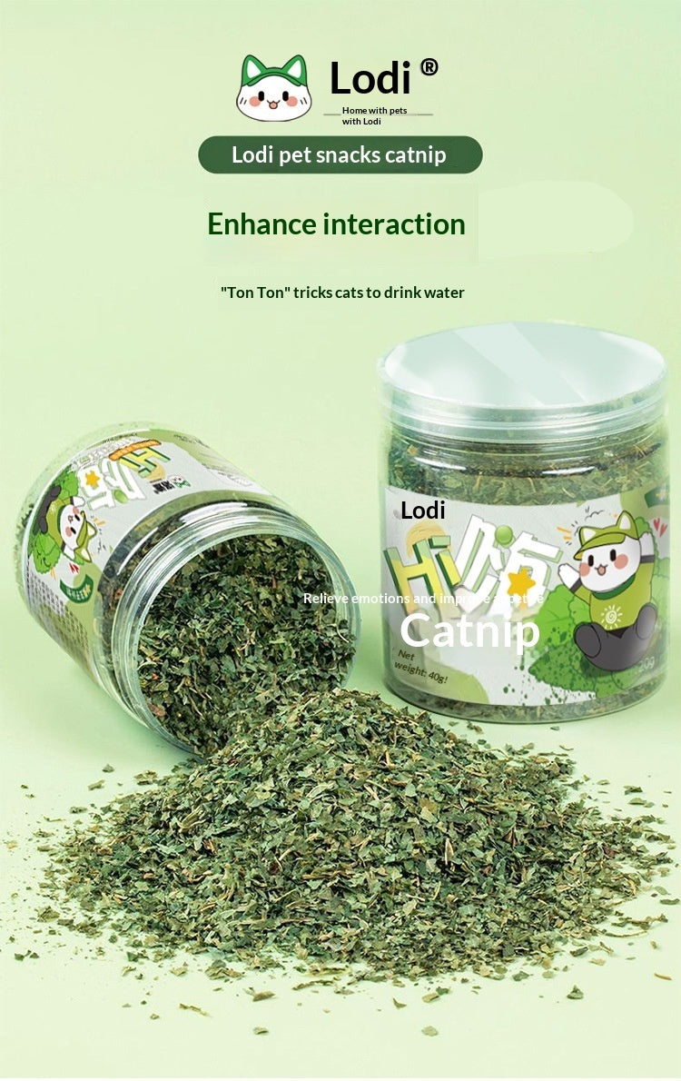 Catnip Cat Grass Leaves Cat Treats Teaser Toy