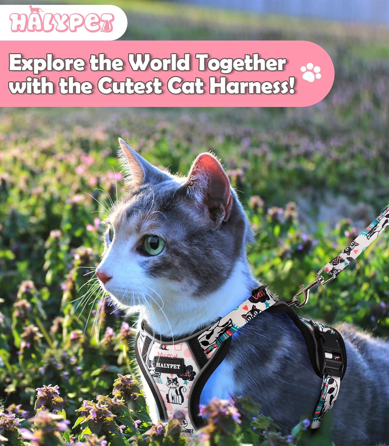 Escape Proof Reflective Adjustable Cat Harness Leash Set