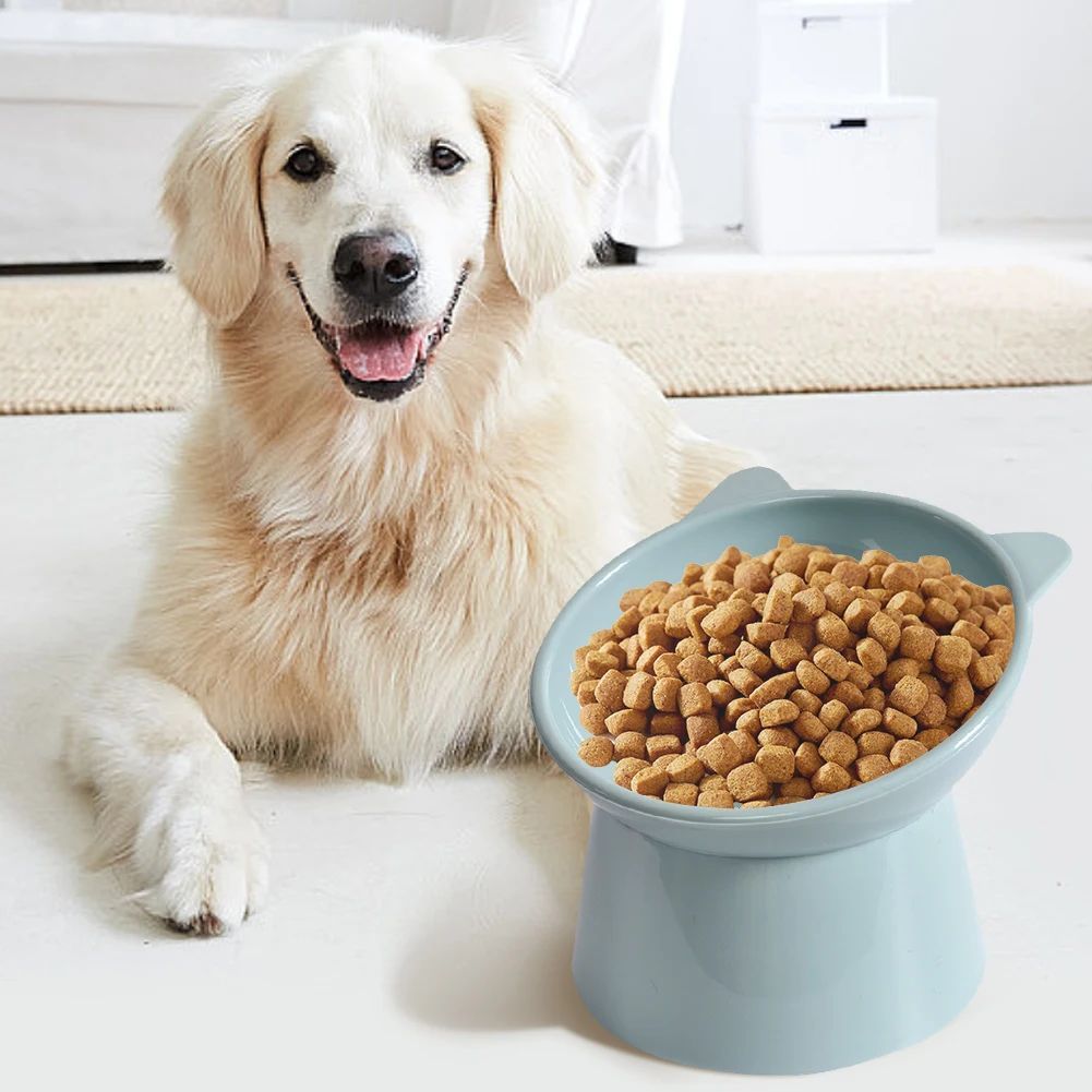 Tilted Elevated Cat Food Bowl Anti Slip Ergonomic Feeding Dish