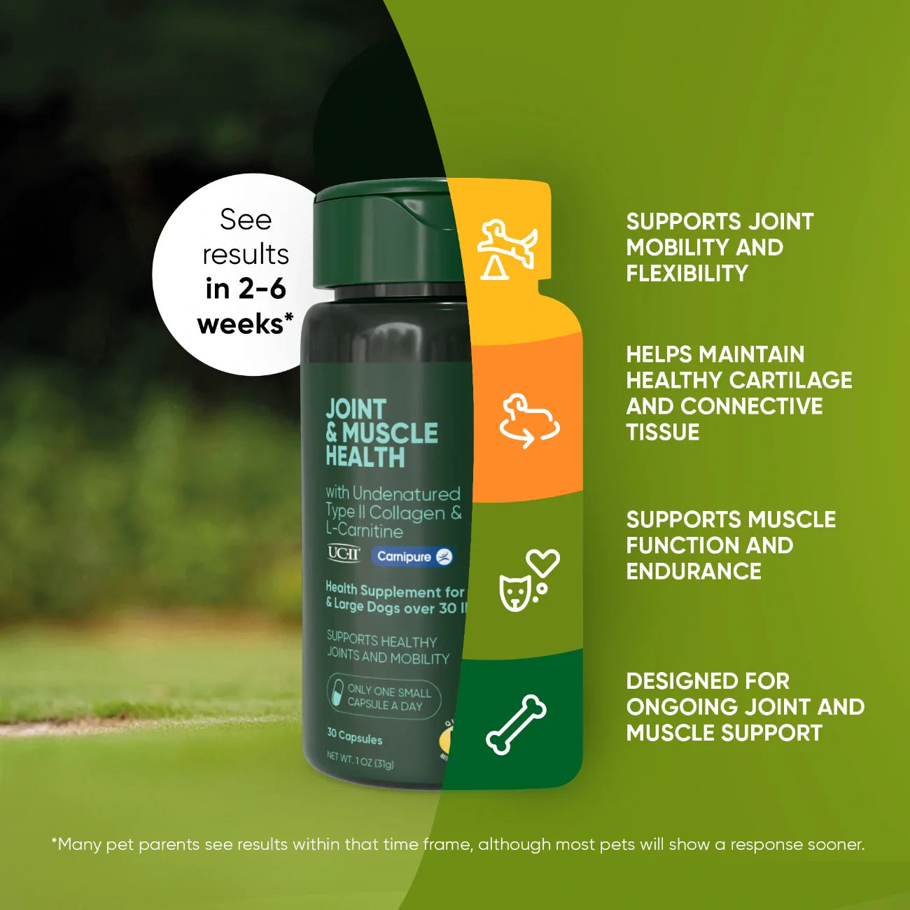 Joint and Muscle Health Daily Wellness Supplement Formula Support