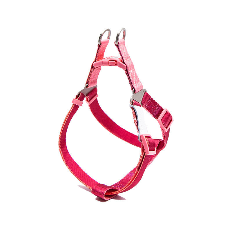 Contrast Color Pet Harness Leash Chest Back Collar Set