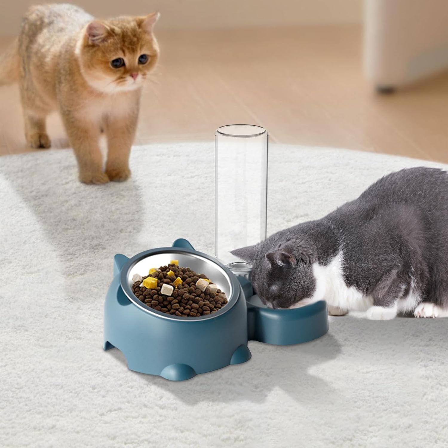 Tilted Cat Dog Food Water Bowl Set with Dispenser