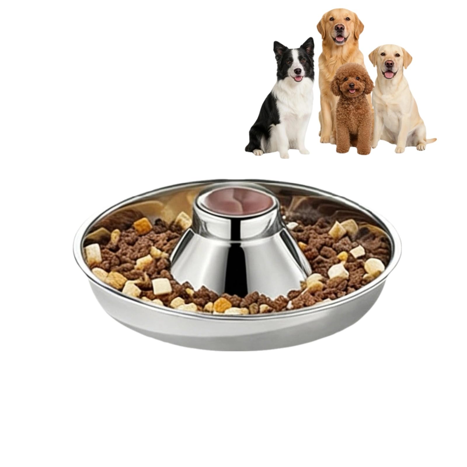 Stainless Steel Puppy Weaning Feeding Bowl Multi Pet Dish Set