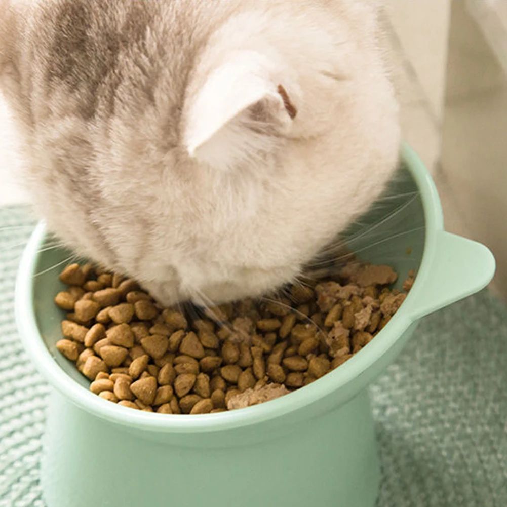 Tilted Elevated Cat Food Bowl Anti Slip Ergonomic Feeding Dish