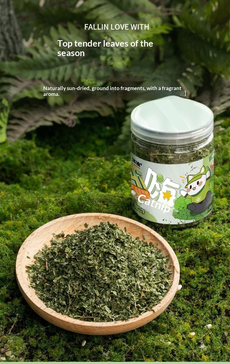 Catnip Cat Grass Leaves Cat Treats Teaser Toy