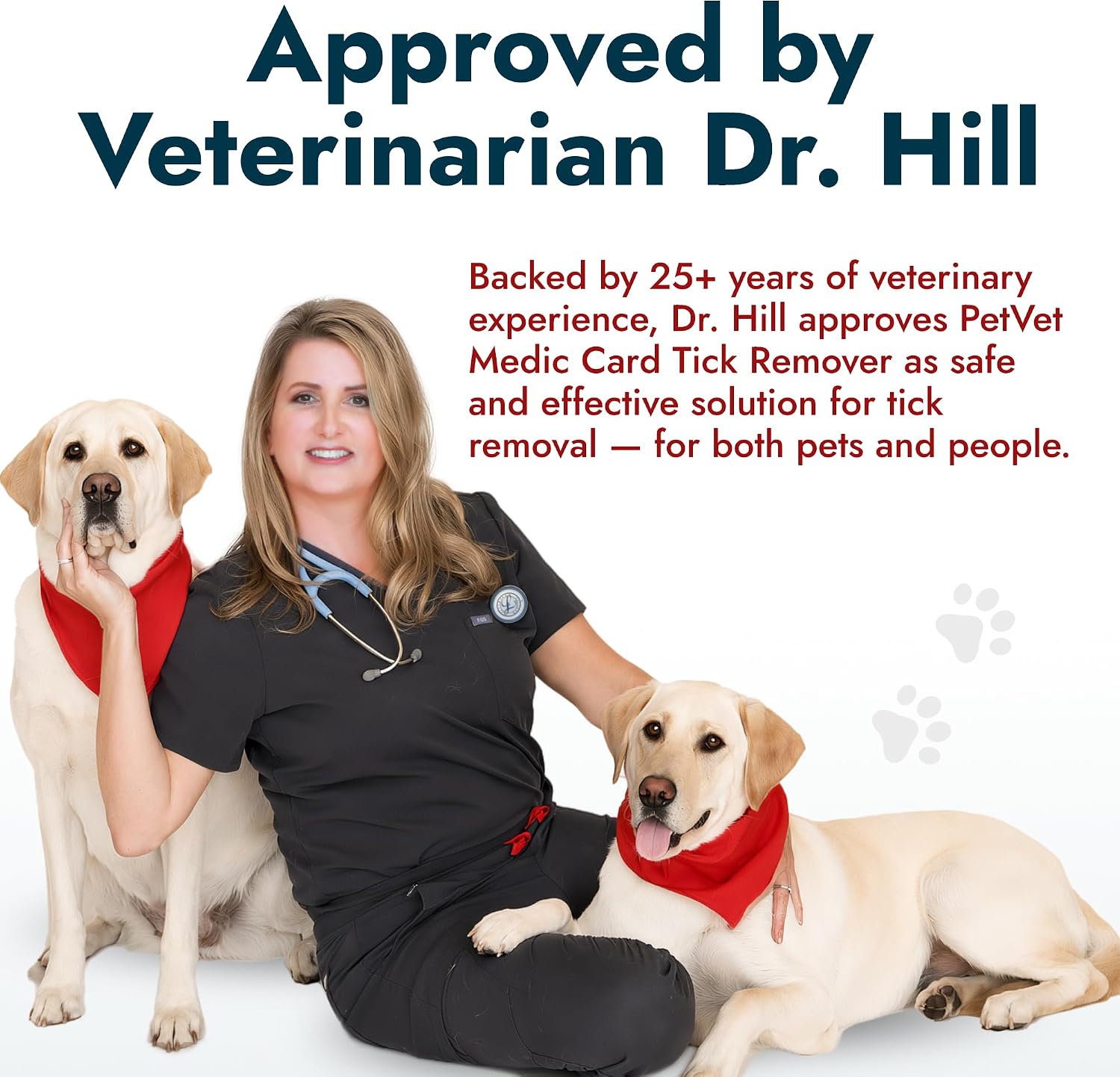 PetVet Medic Tick Remover Card 3-Pack for Dogs & Cats – Wallet-Sized Tick Removal Tool with Built-In Magnifier & Instruction Guide