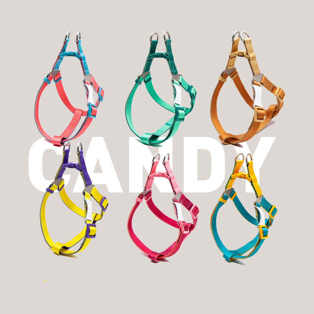 Contrast Color Pet Harness Leash Chest Back Collar Set