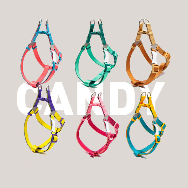 Contrast Color Pet Harness Leash Chest Back Collar Set