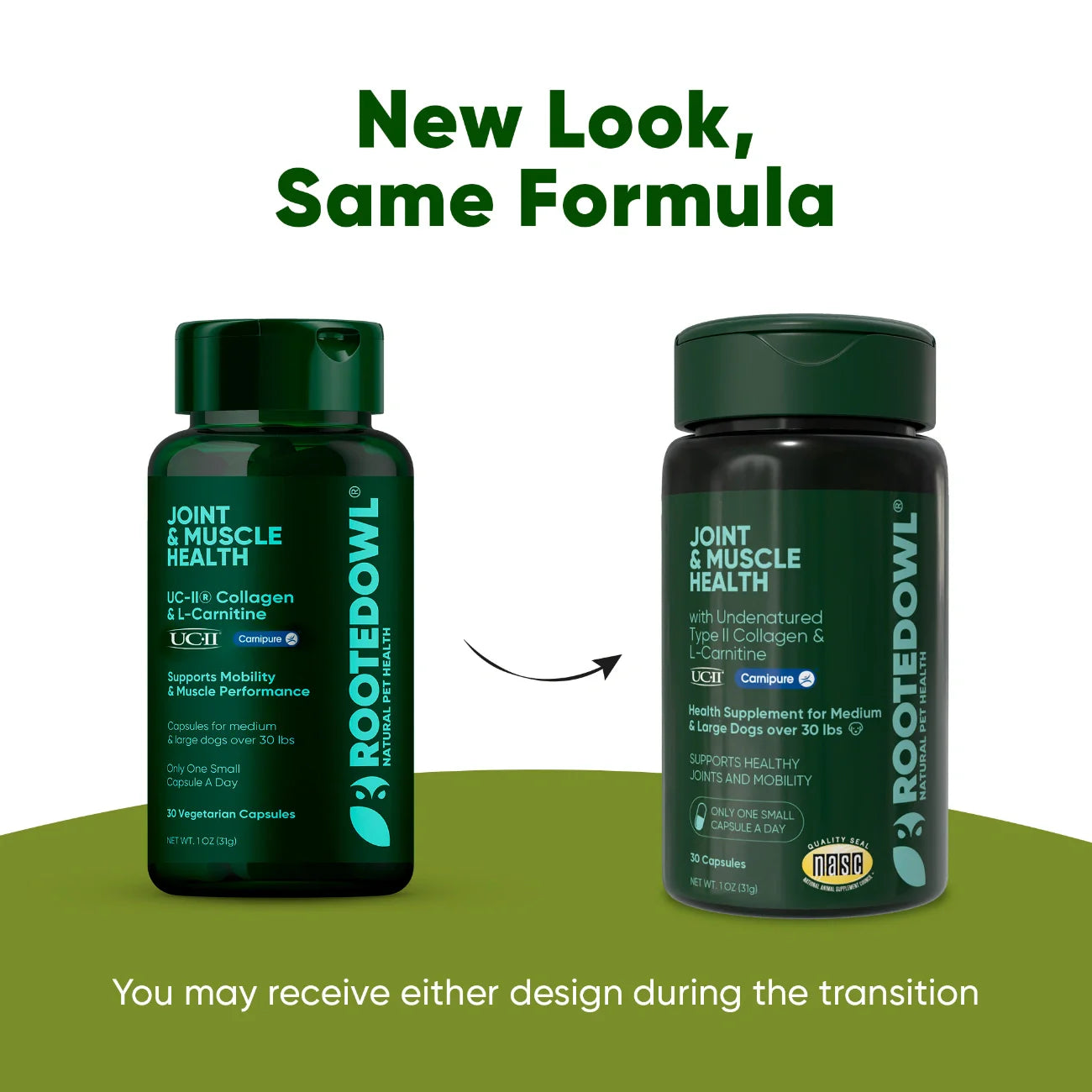 Joint and Muscle Health Daily Wellness Supplement Formula Support