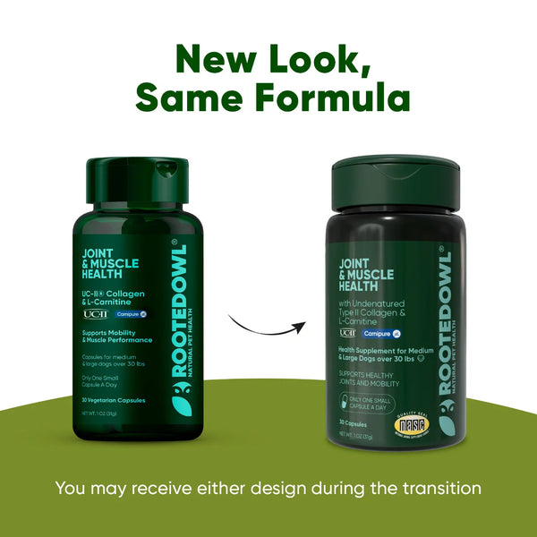 Joint and Muscle Health Daily Wellness Supplement Formula Support