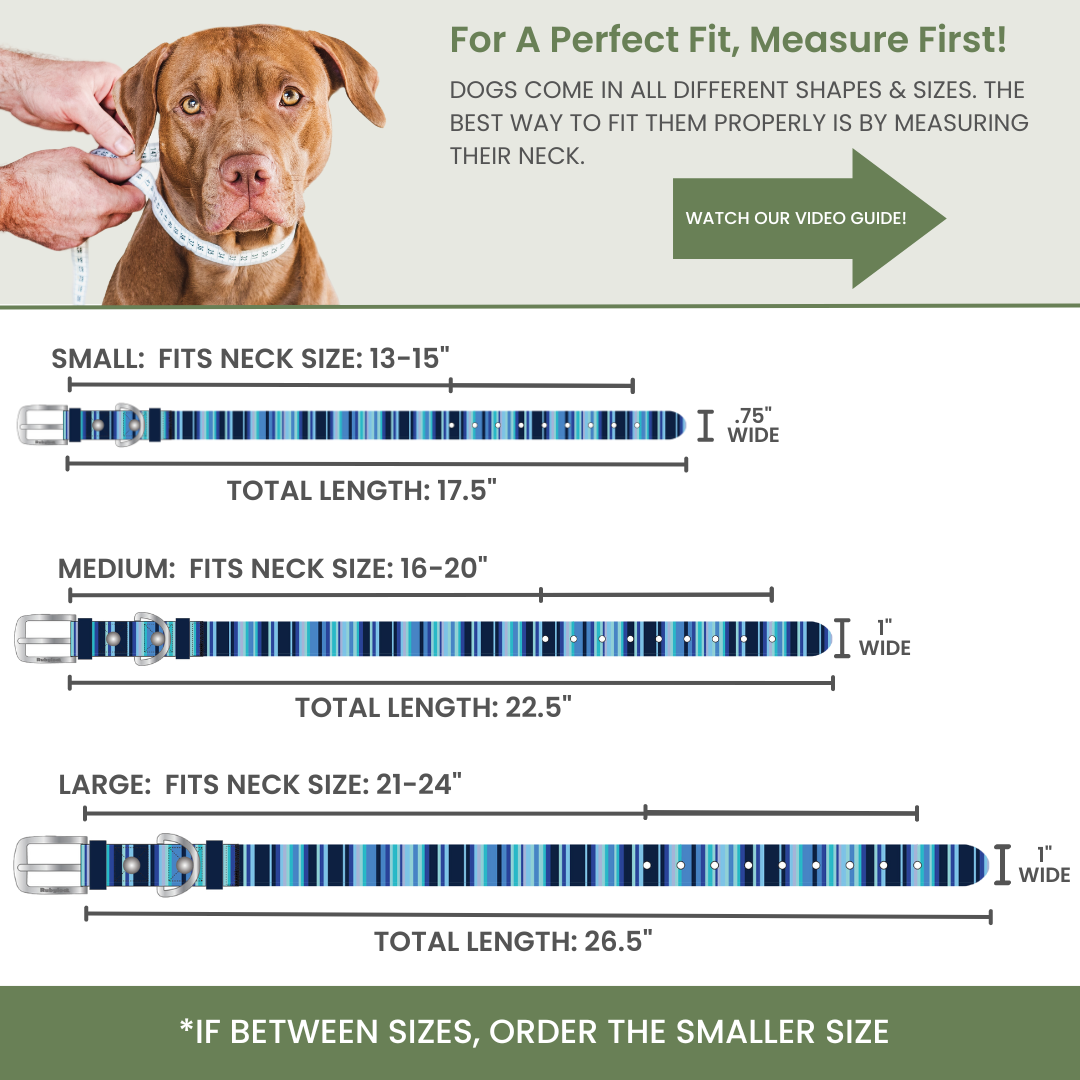 Waterproof Washable Stink-Proof Durable Dog Collar Everyday Wear
