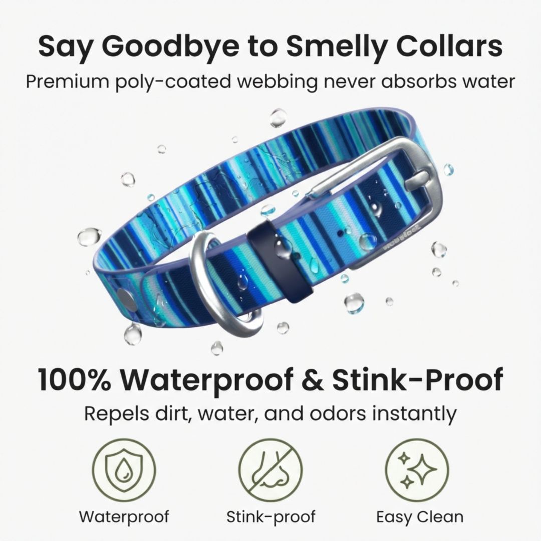 Waterproof Washable Stink-Proof Durable Dog Collar Everyday Wear