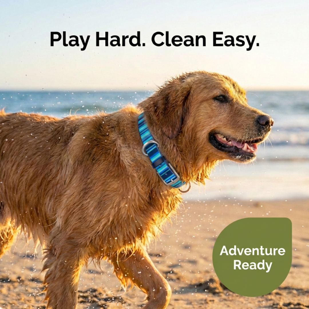 Waterproof Washable Stink-Proof Durable Dog Collar Everyday Wear