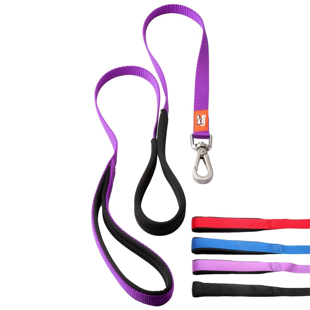 Canny Leash