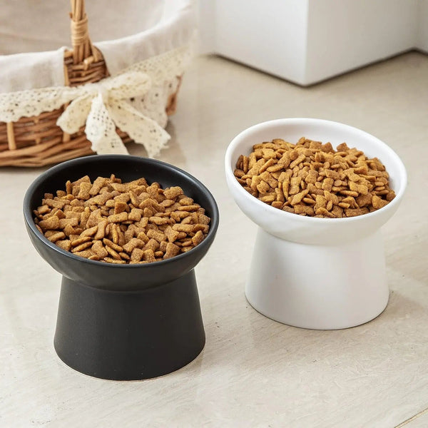 Ceramic Raised Tilted Cat Bowls Set of 2, Elevated Porcelain Feeder