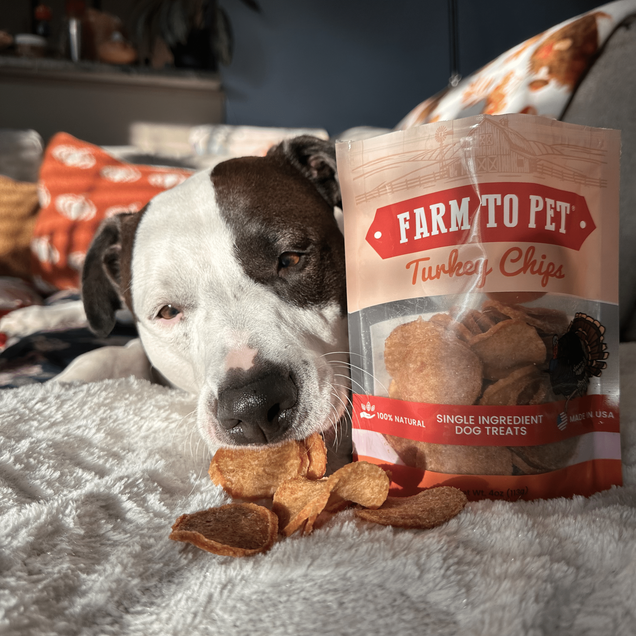 All-Natural Single Ingredient Turkey Chips Healthy Dog Treats