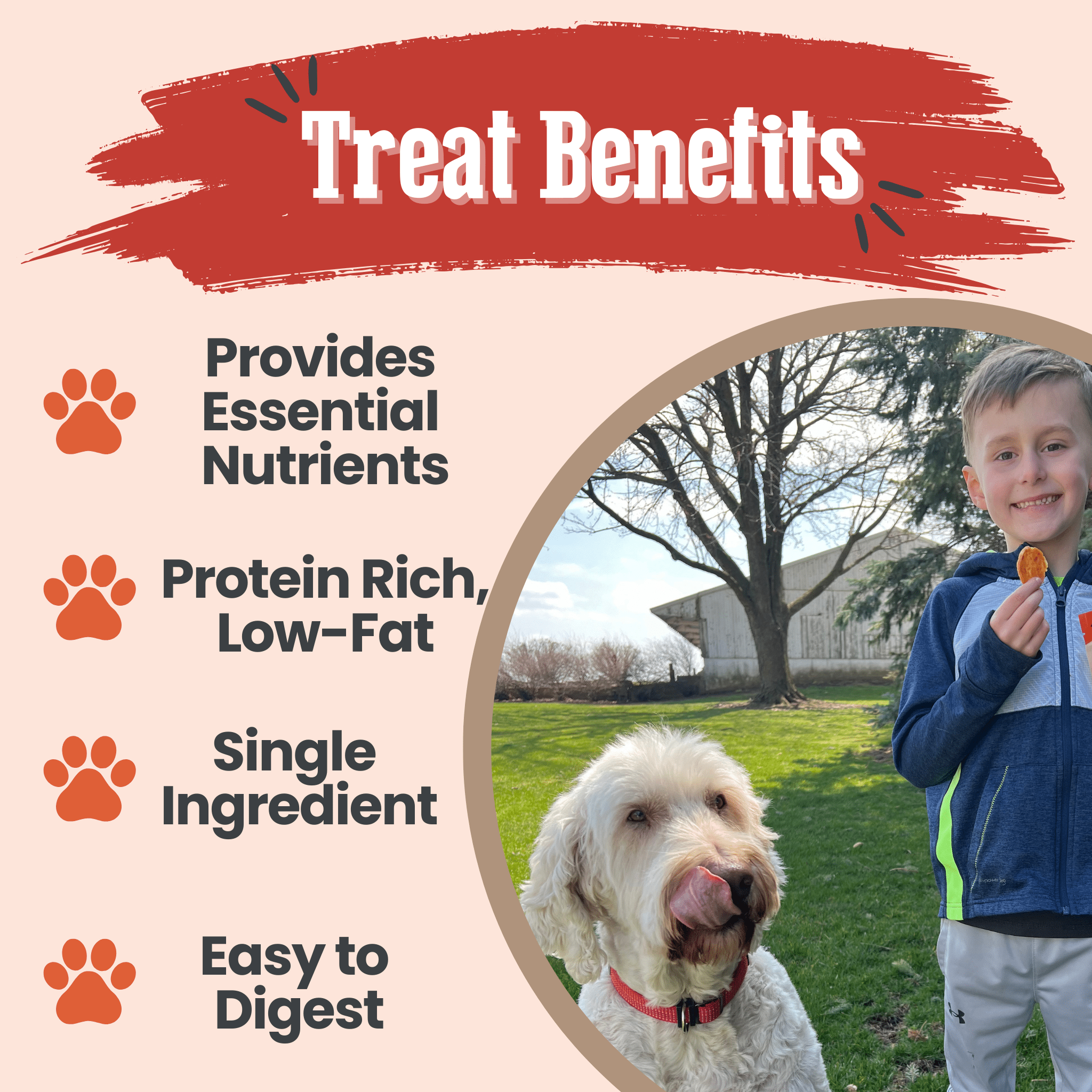 All-Natural Single Ingredient Turkey Chips Healthy Dog Treats
