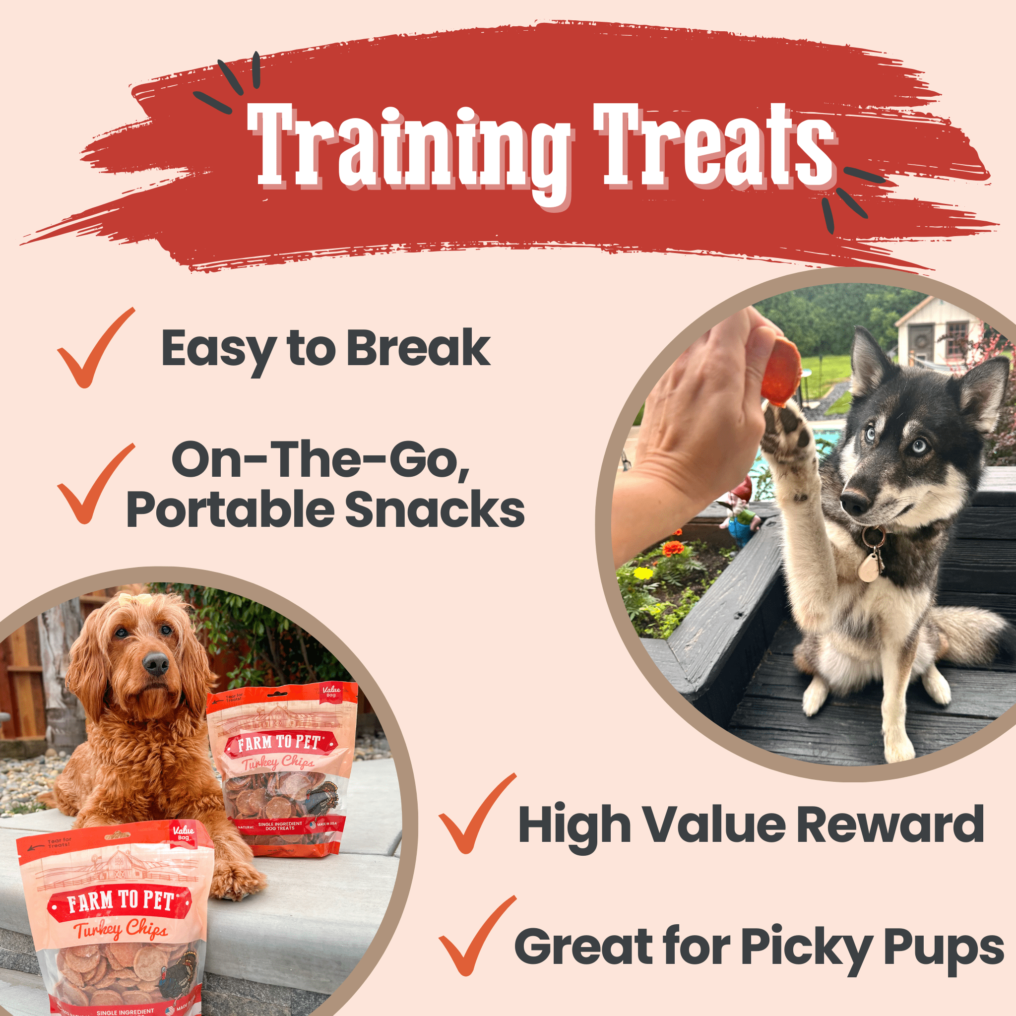 All-Natural Single Ingredient Turkey Chips Healthy Dog Treats