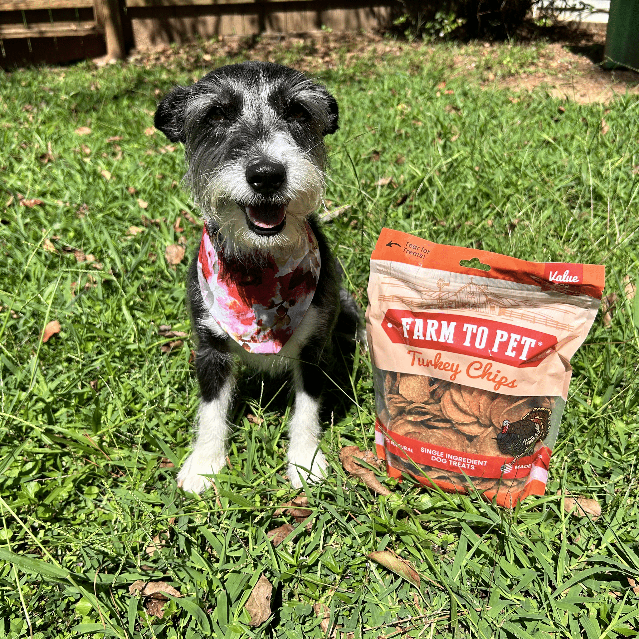 All-Natural Single Ingredient Turkey Chips Healthy Dog Treats