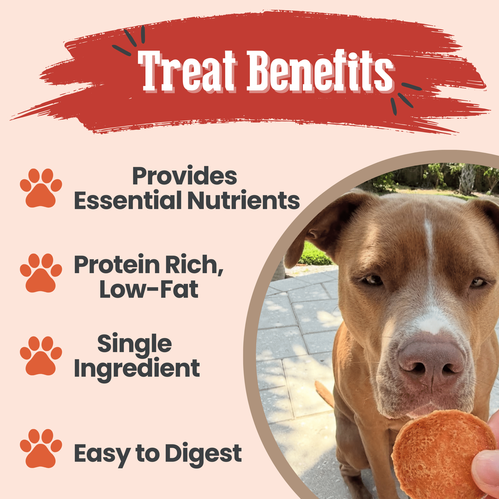 All-Natural Single Ingredient Turkey Chips Healthy Dog Treats