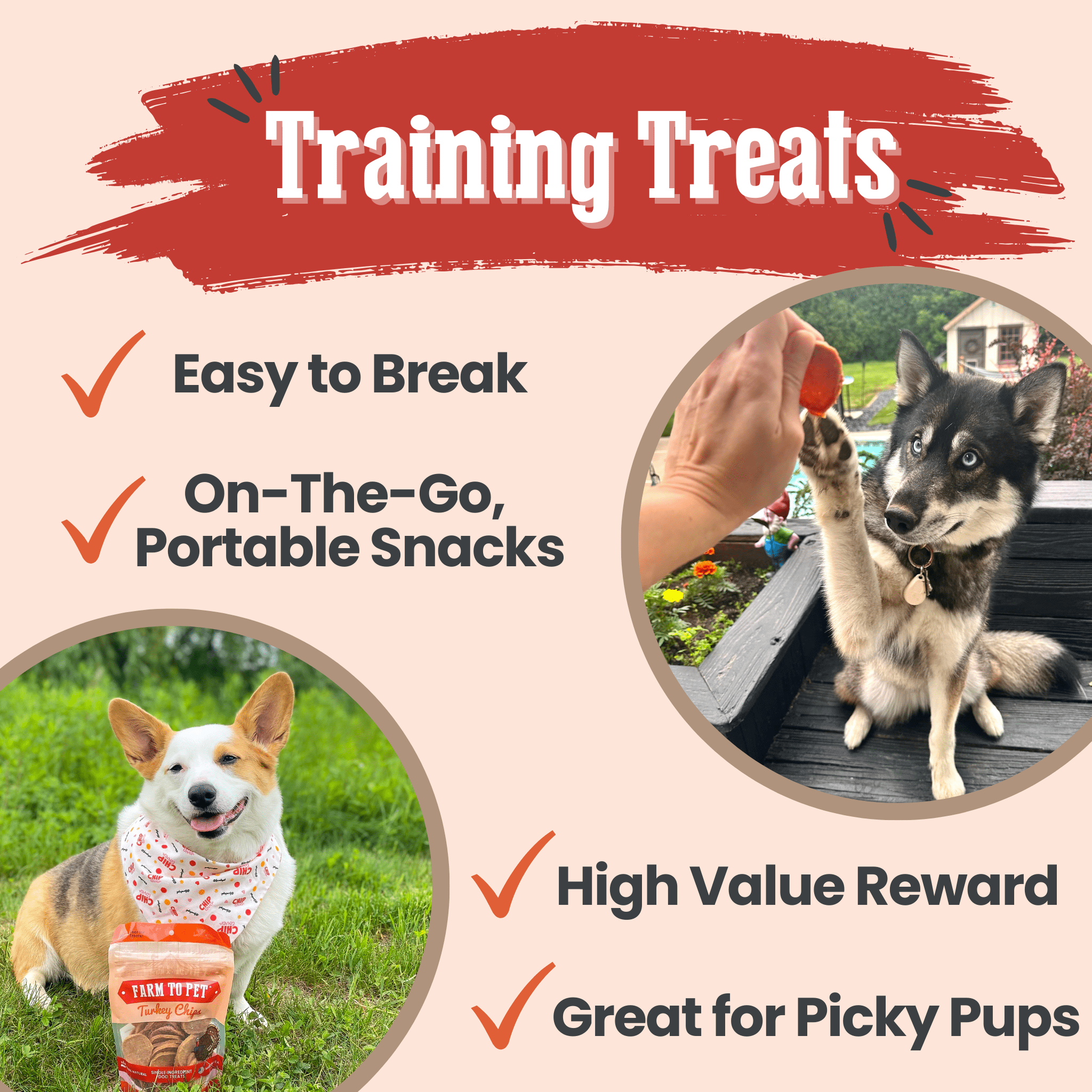 All-Natural Single Ingredient Turkey Chips Healthy Dog Treats