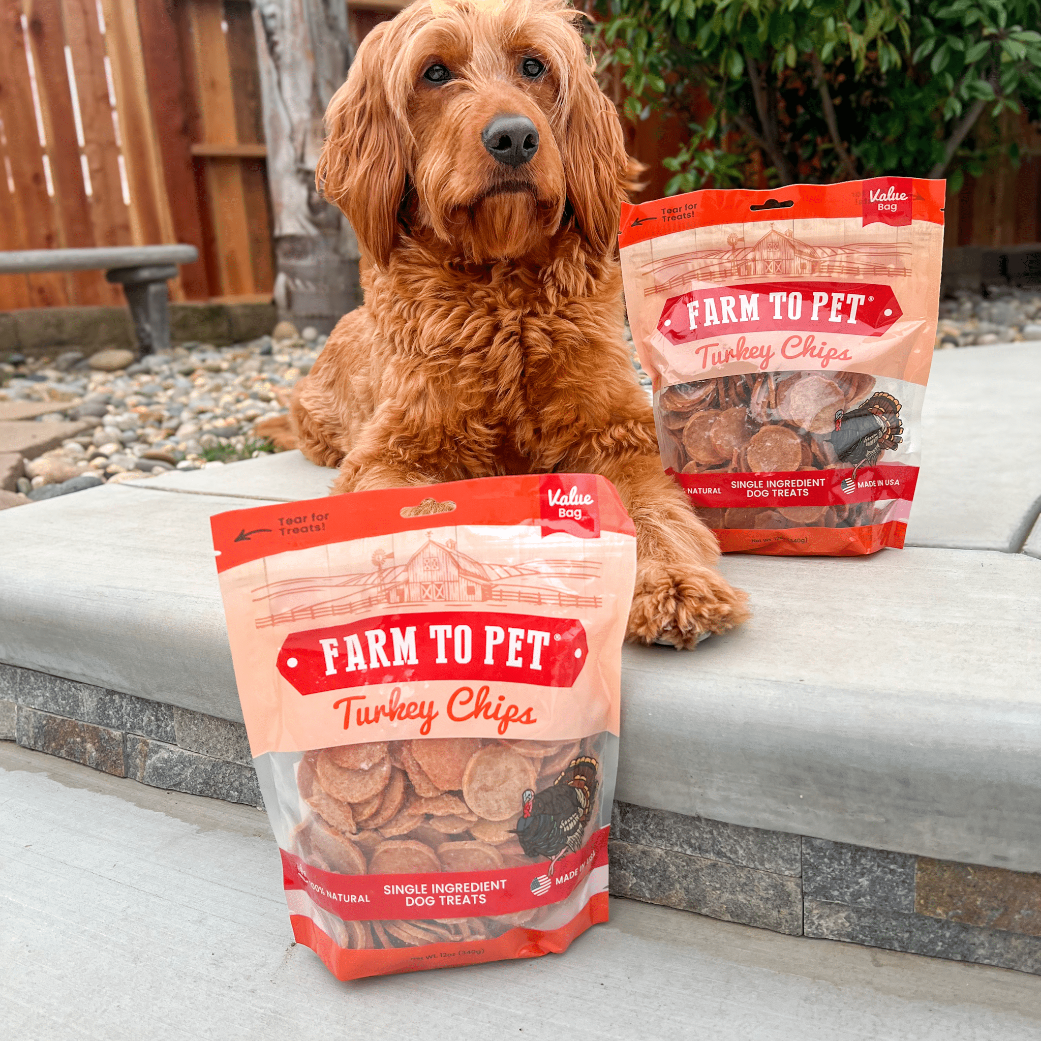All-Natural Single Ingredient Turkey Chips Healthy Dog Treats