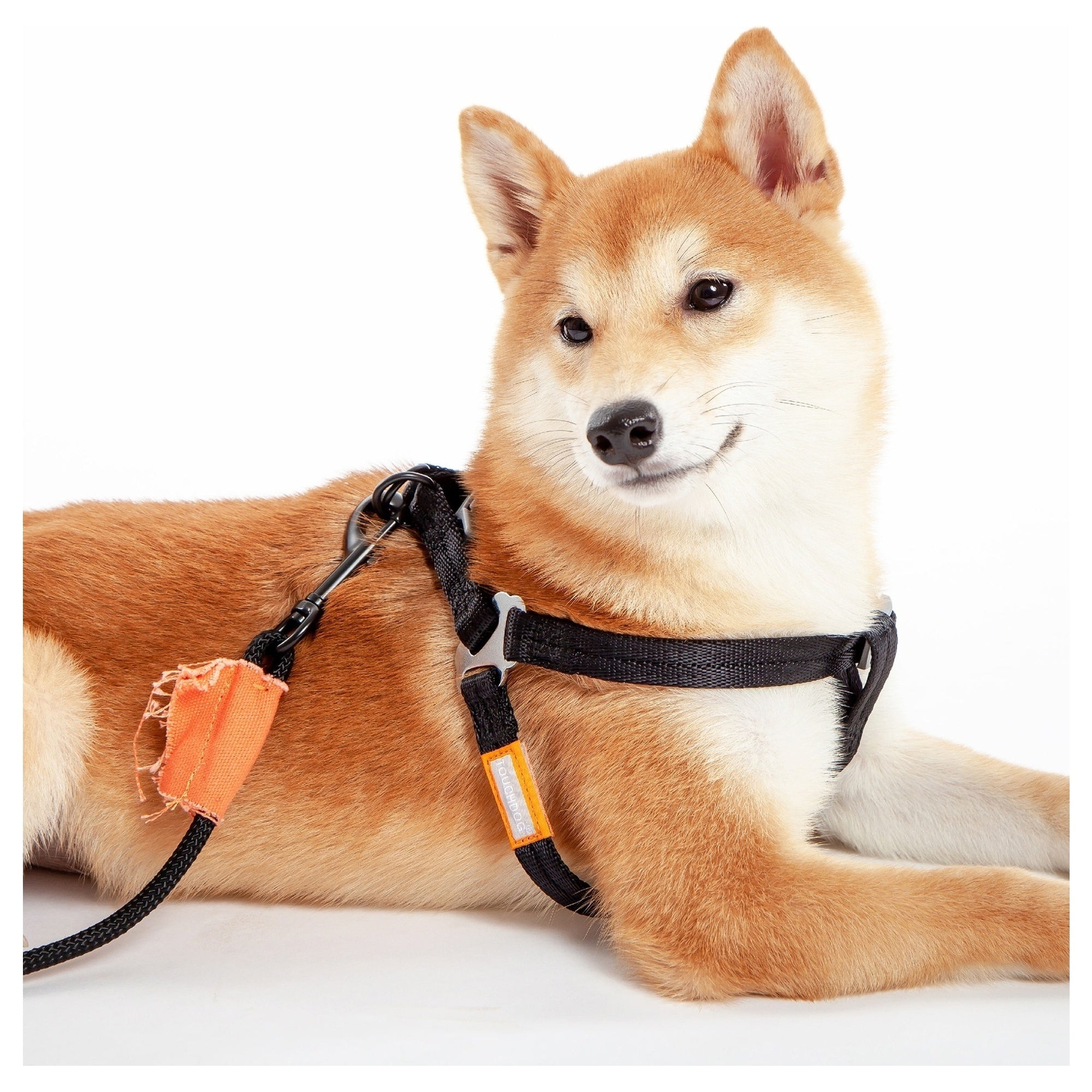 Touchdog Macaron 2-in-1 Nylon Dog Harness Leash