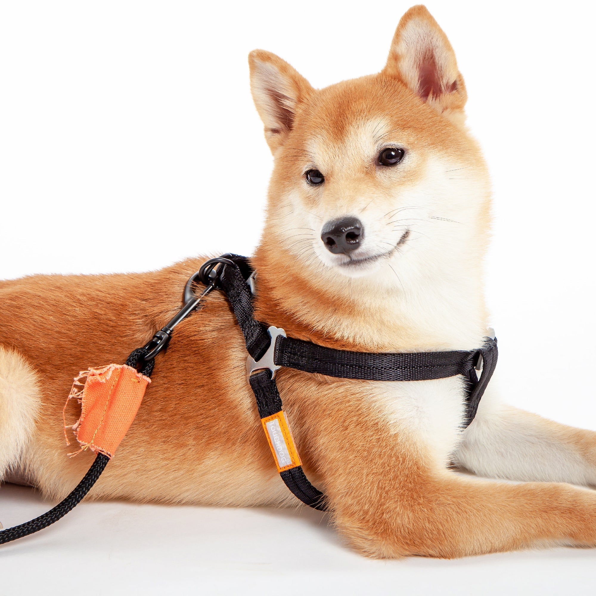 Touchdog Macaron 2-in-1 Nylon Dog Harness Leash