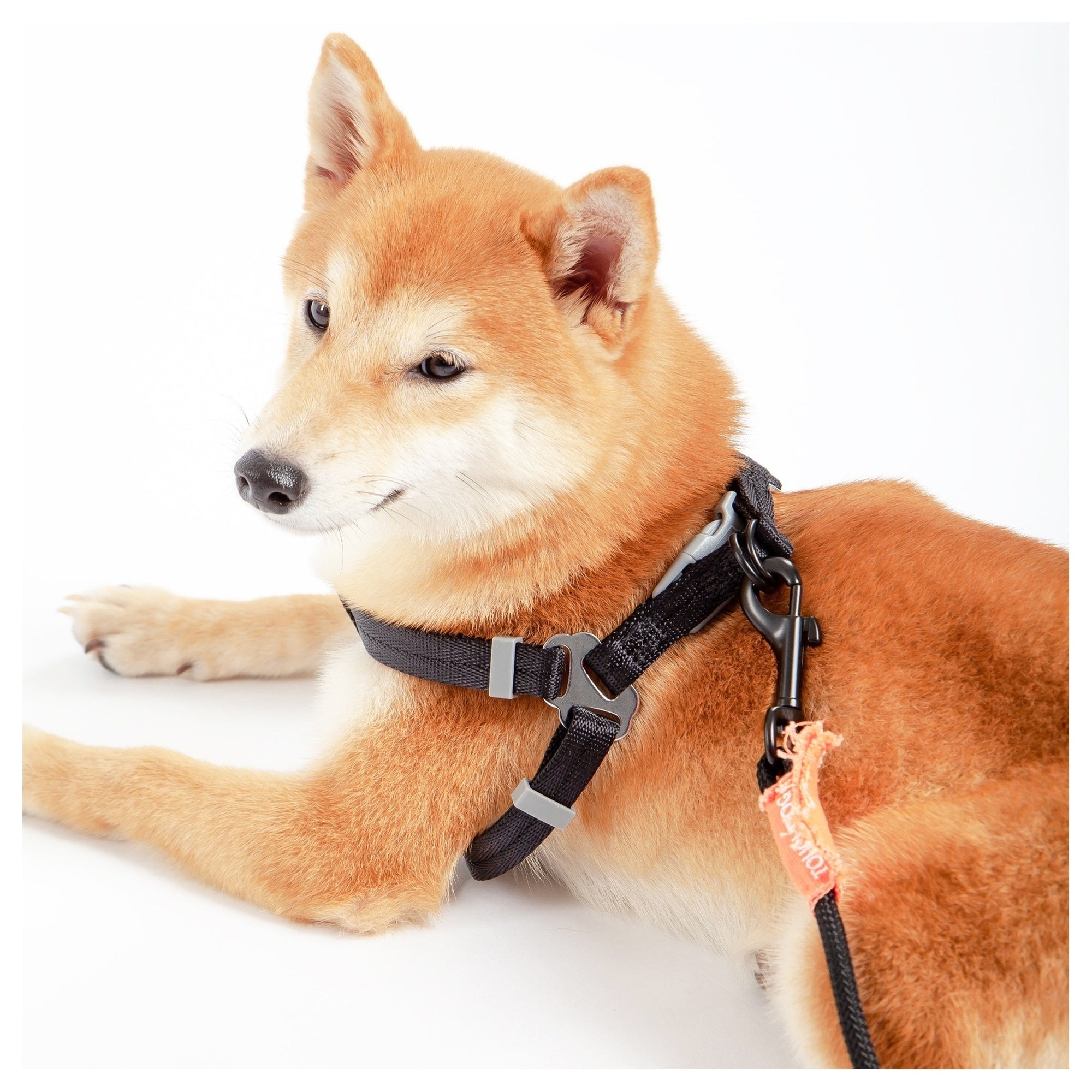 Touchdog Macaron 2-in-1 Nylon Dog Harness Leash