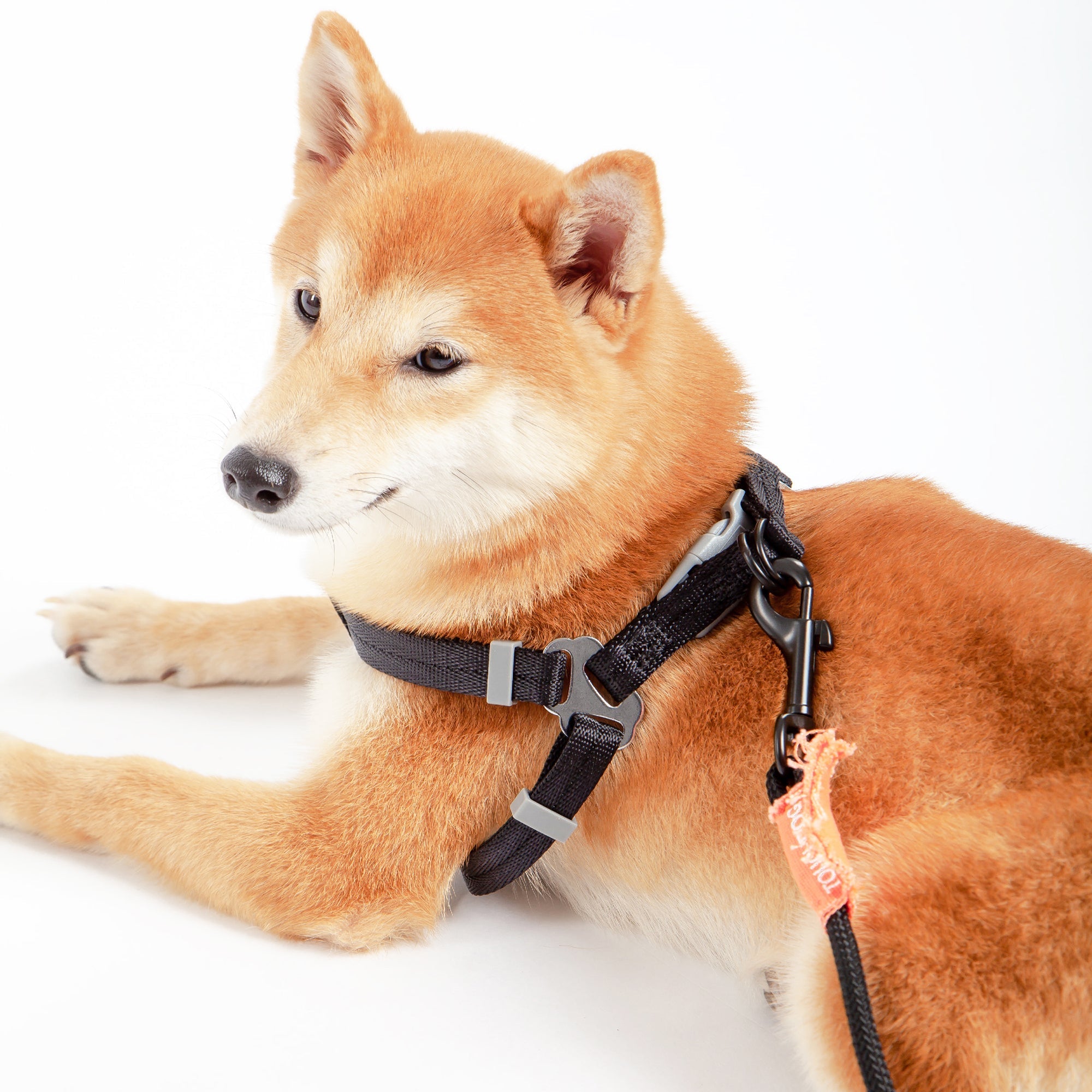 Touchdog Macaron 2-in-1 Nylon Dog Harness Leash