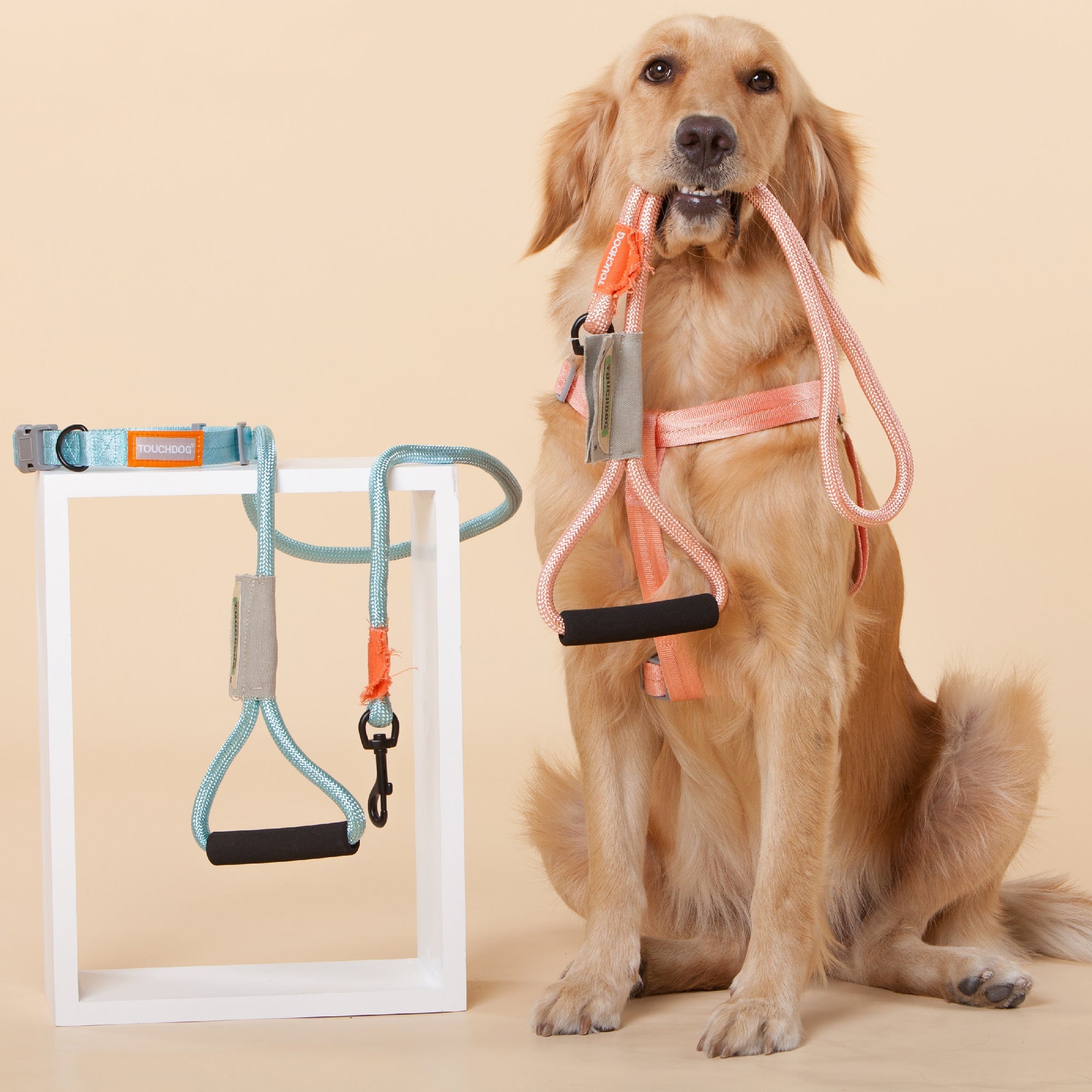 Touchdog Macaron 2-in-1 Nylon Dog Harness Leash