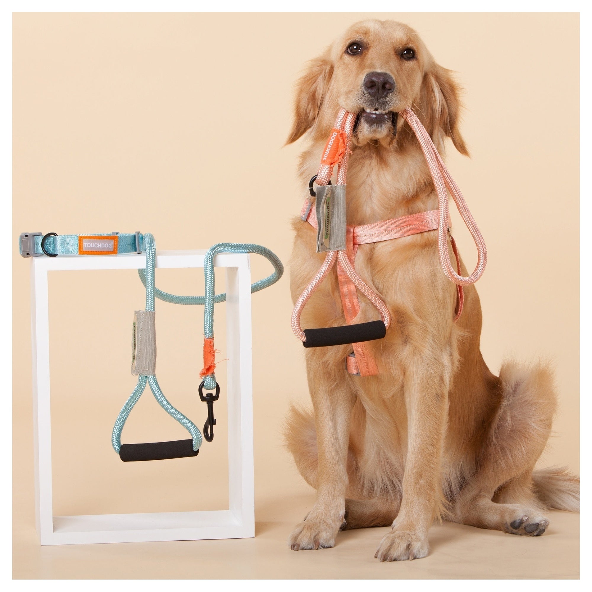 Touchdog Macaron 2-in-1 Nylon Dog Harness Leash