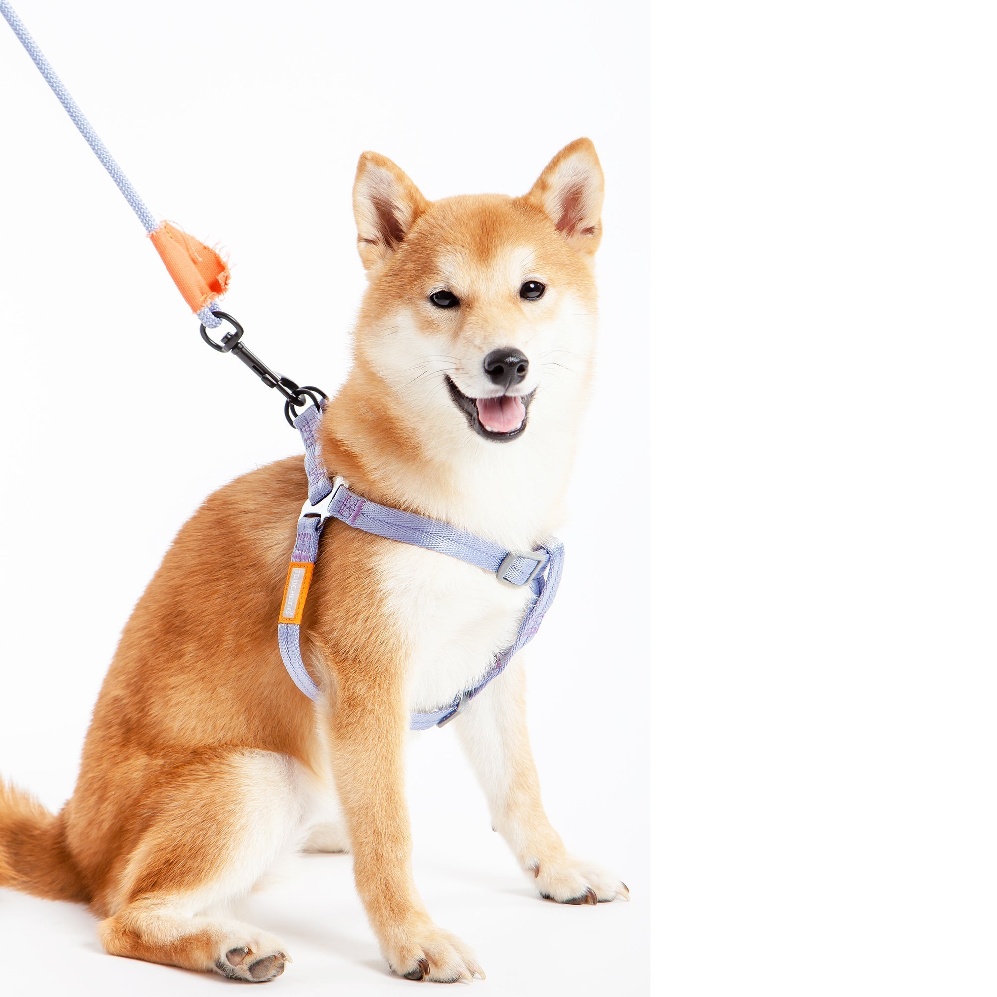 Touchdog Macaron 2-in-1 Nylon Dog Harness Leash