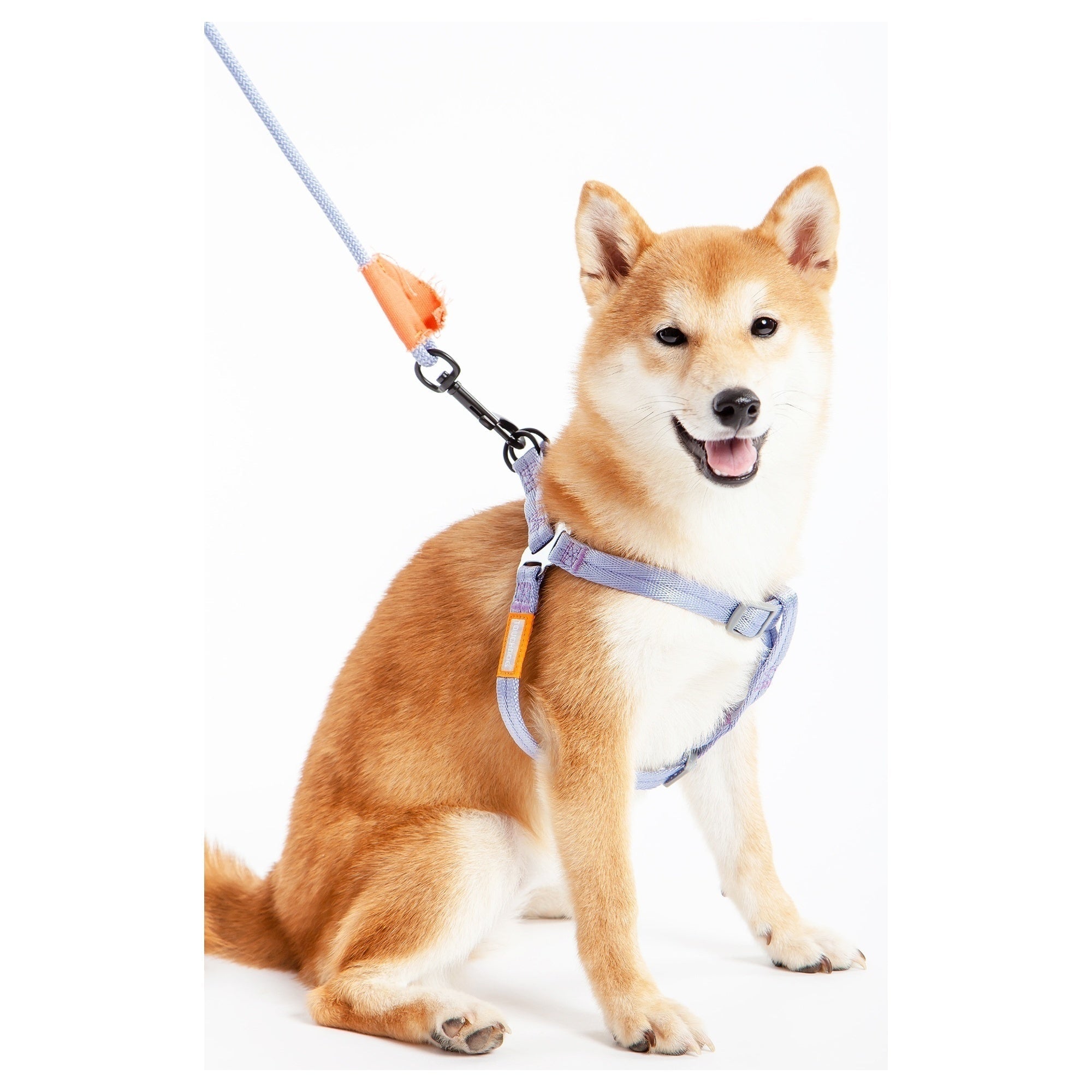 Touchdog Macaron 2-in-1 Nylon Dog Harness Leash