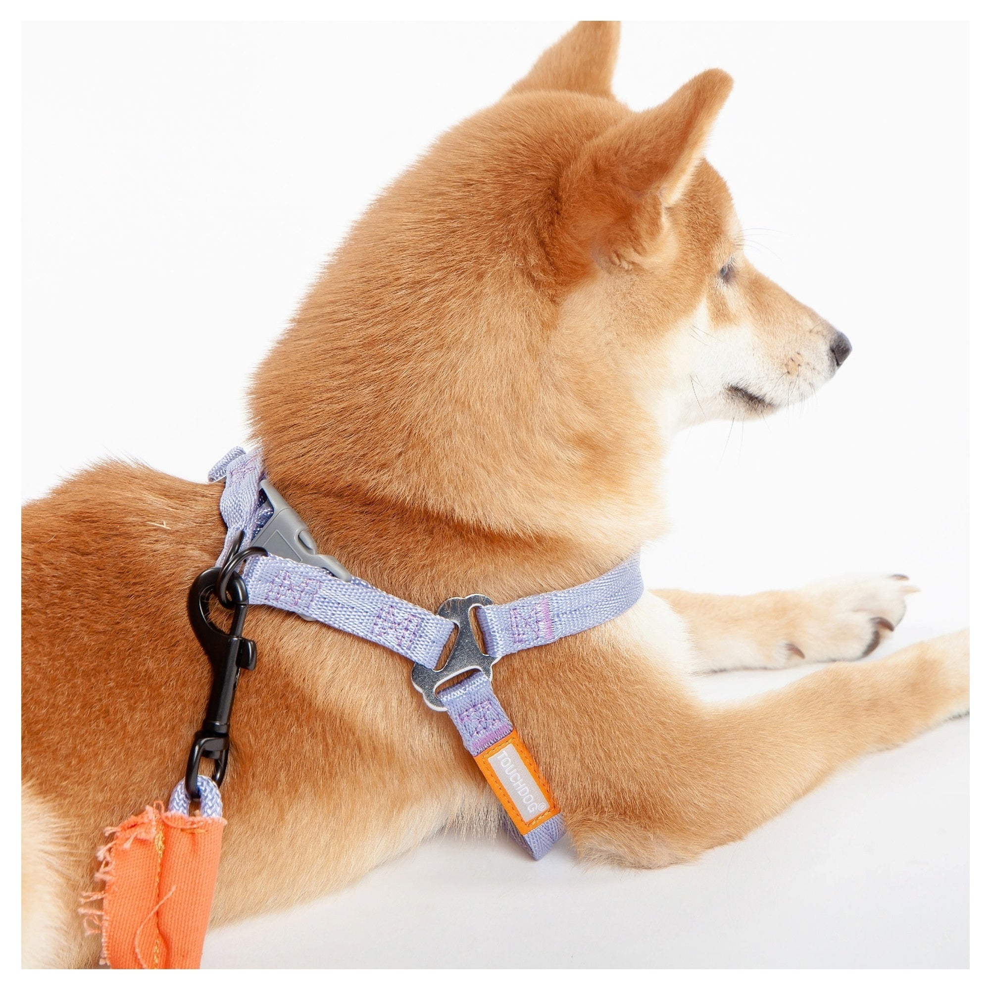 Touchdog Macaron 2-in-1 Nylon Dog Harness Leash