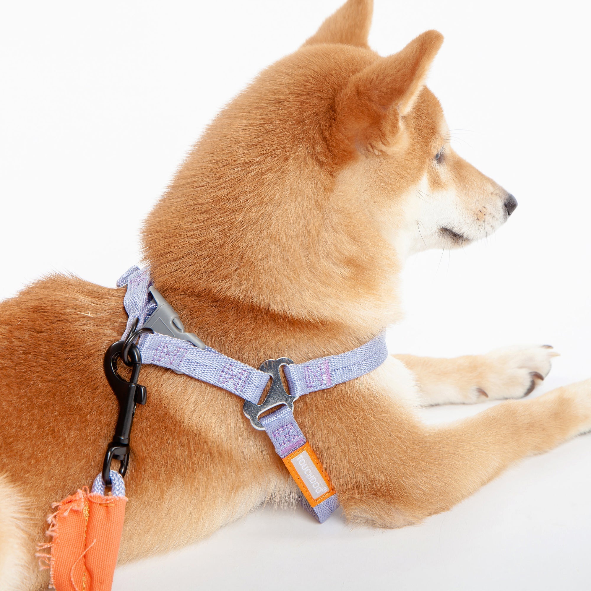 Touchdog Macaron 2-in-1 Nylon Dog Harness Leash