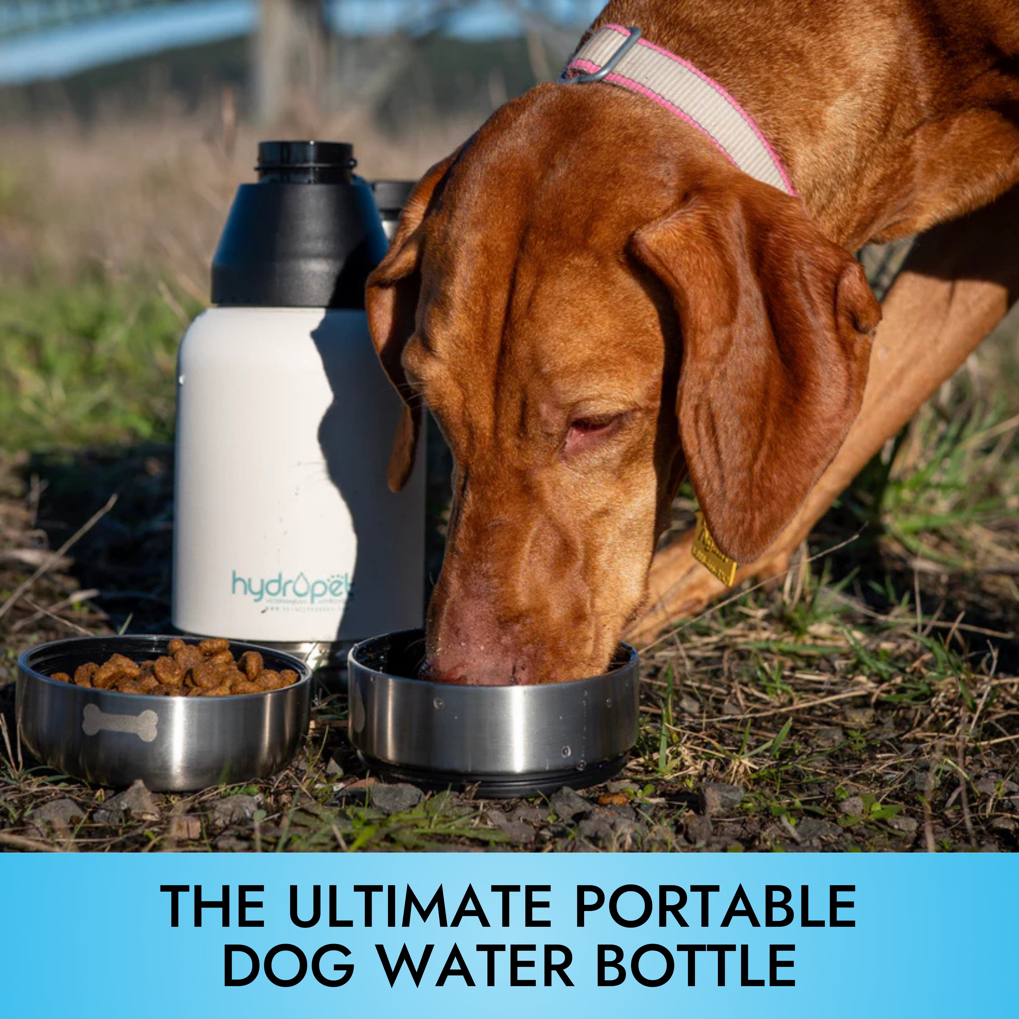 HydroPet® 64 oz Portable Dog Water Bottle – Stainless Steel Travel Flask with 2 Detachable Bowls, Carry Bag & Strap