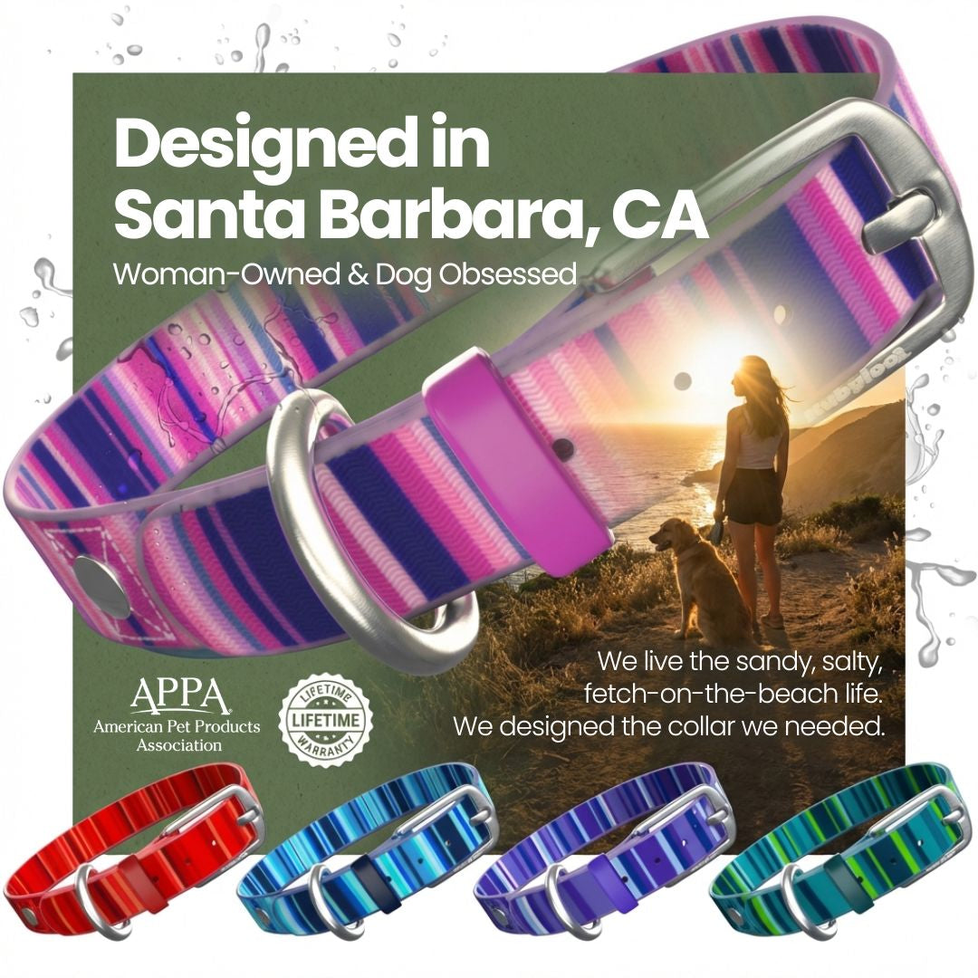 Waterproof Washable Stink-Proof Durable Dog Collar Everyday Wear