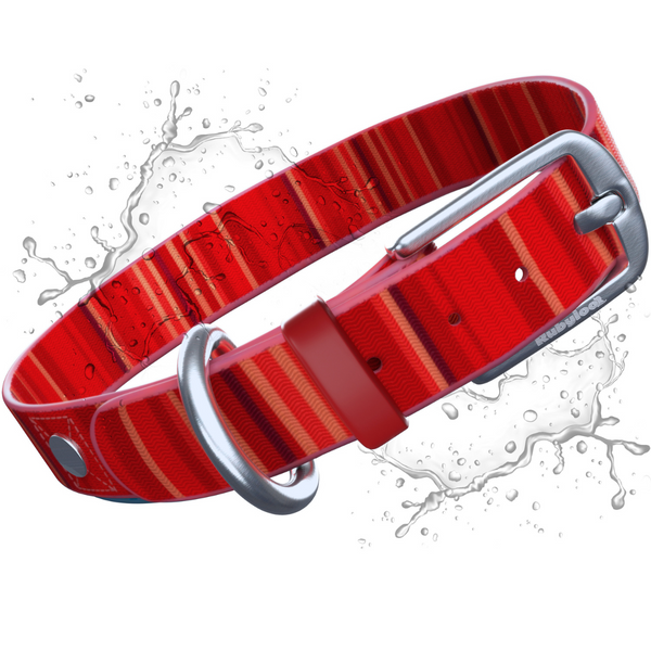 Waterproof Washable Stink-Proof Durable Dog Collar Everyday Wear