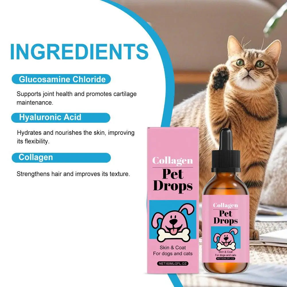 Pet Collagen Drops 60ml Skin and Coat Supplement for Dogs Cats Liquid Moisturizing Daily Nutrition Supplement Dog Supplies