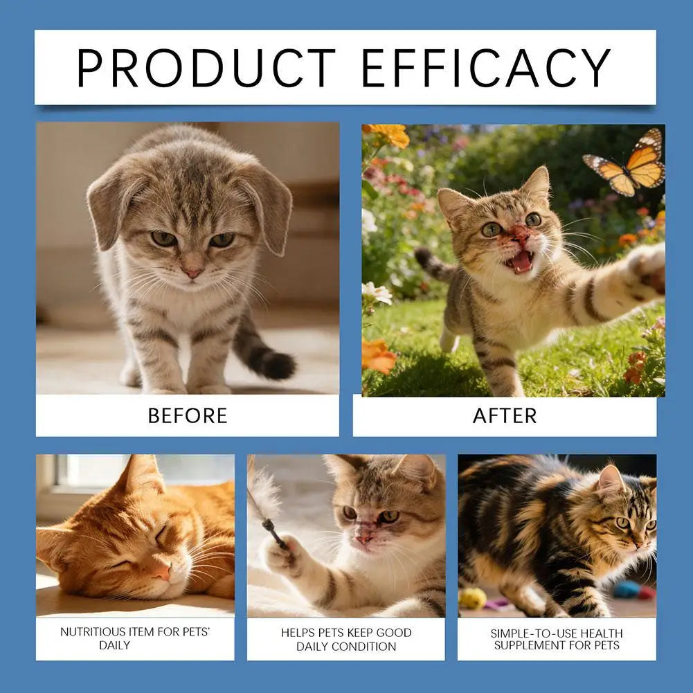 NewTaurine Powder For Cats Kittys Heart-Vision Daily Well-Ness Gentle On Sensitive Stomachs Cat Nutrient Supplement For Cat Food