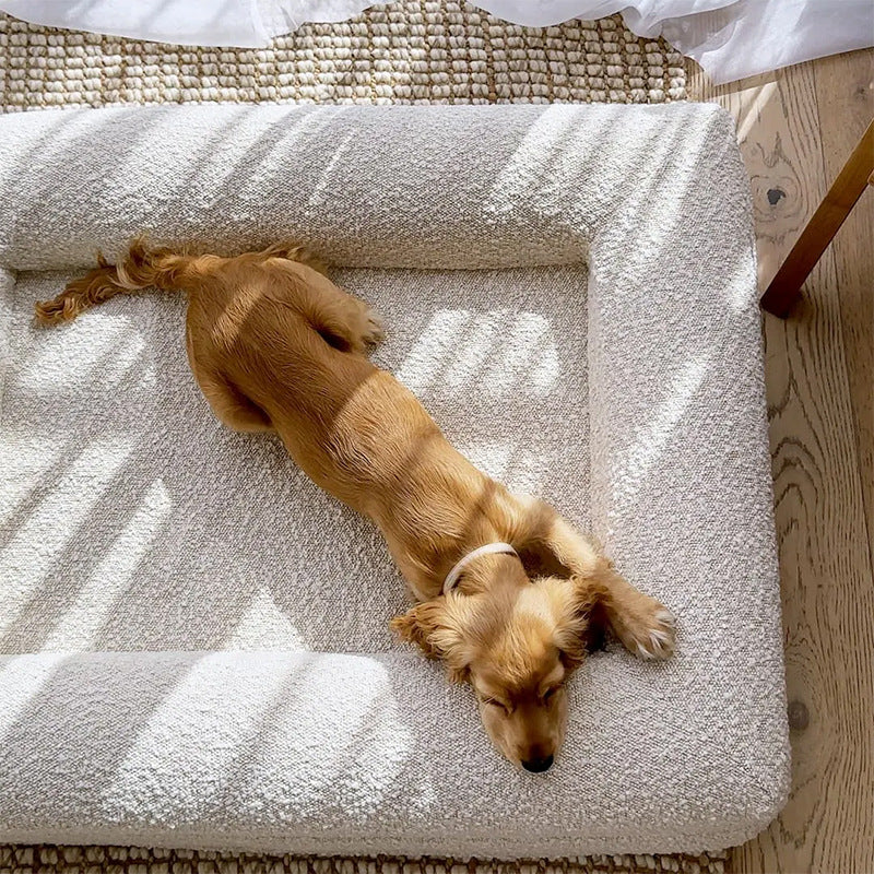 Memory Foam Waterproof Dog Bed with Removable Washable Cover
