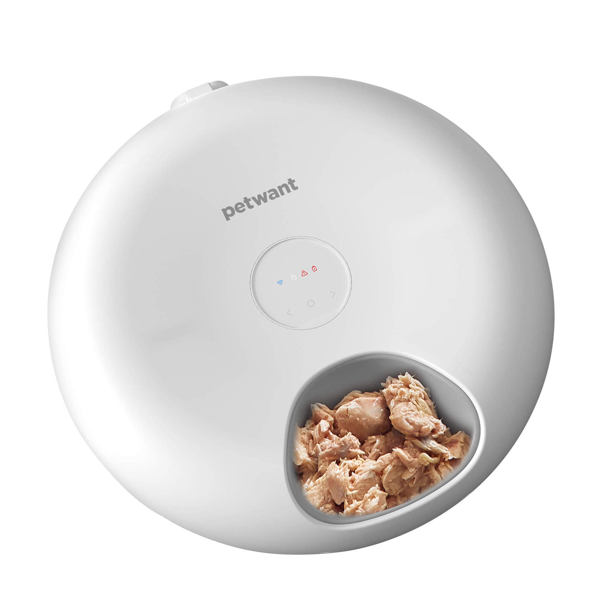 Smart App Remote Automatic Freeze Dried Snack Cat Feeder Device