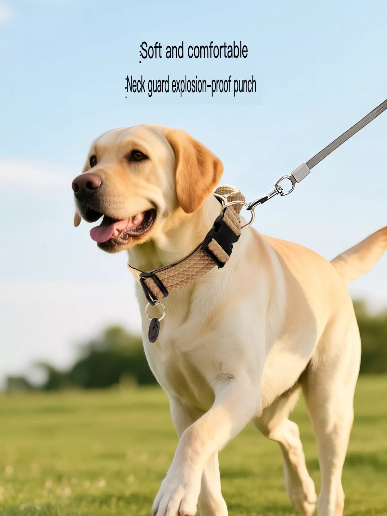 Comfortable Neck Guard Heavy-Duty Adjustable Pet Collar Safety