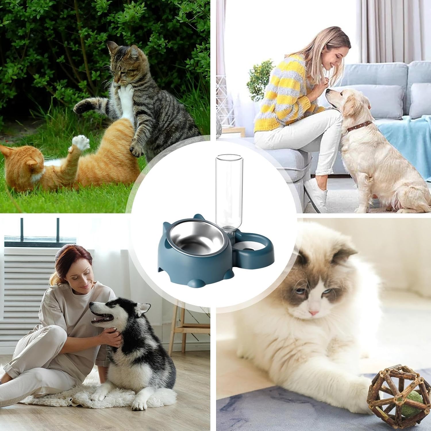 Tilted Cat Dog Food Water Bowl Set with Dispenser