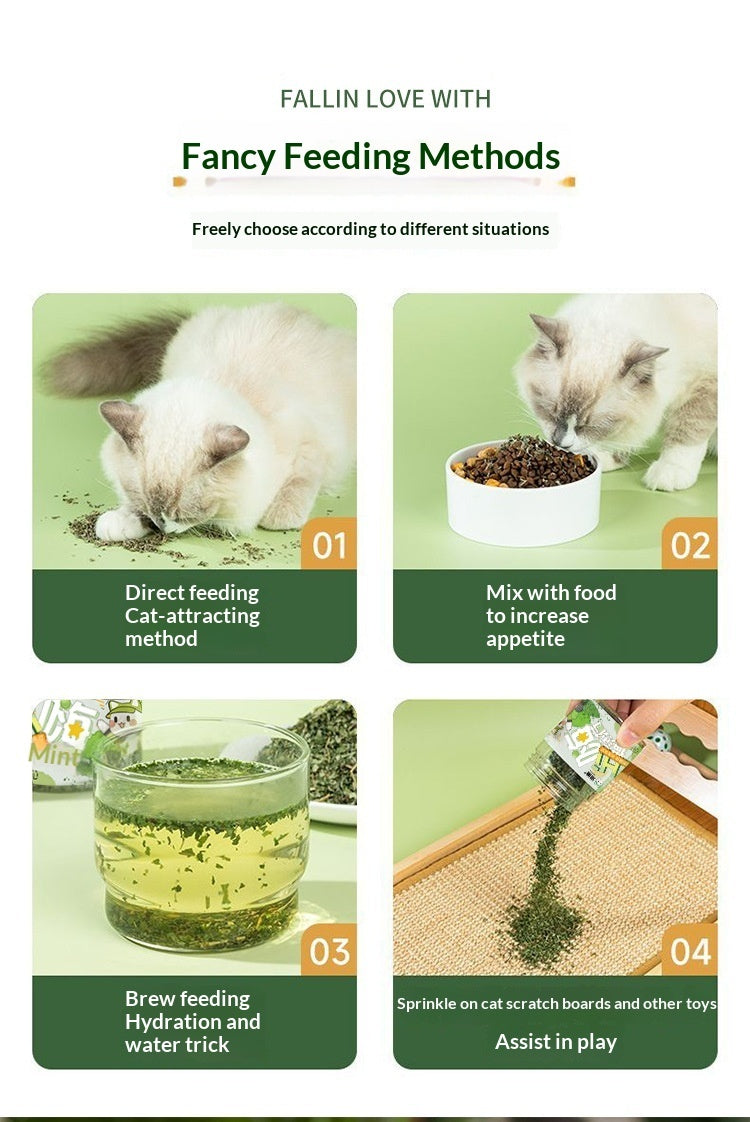 Catnip Cat Grass Leaves Cat Treats Teaser Toy