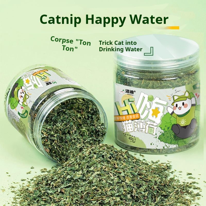 Catnip Cat Grass Leaves Cat Treats Teaser Toy